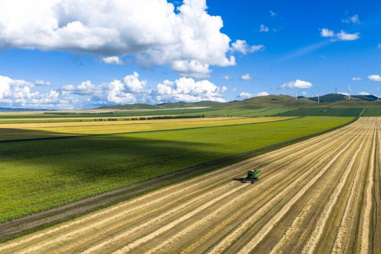 Autossuficiência do Brasil em trigo ainda está longe - 25/05/2026 - Vaivém