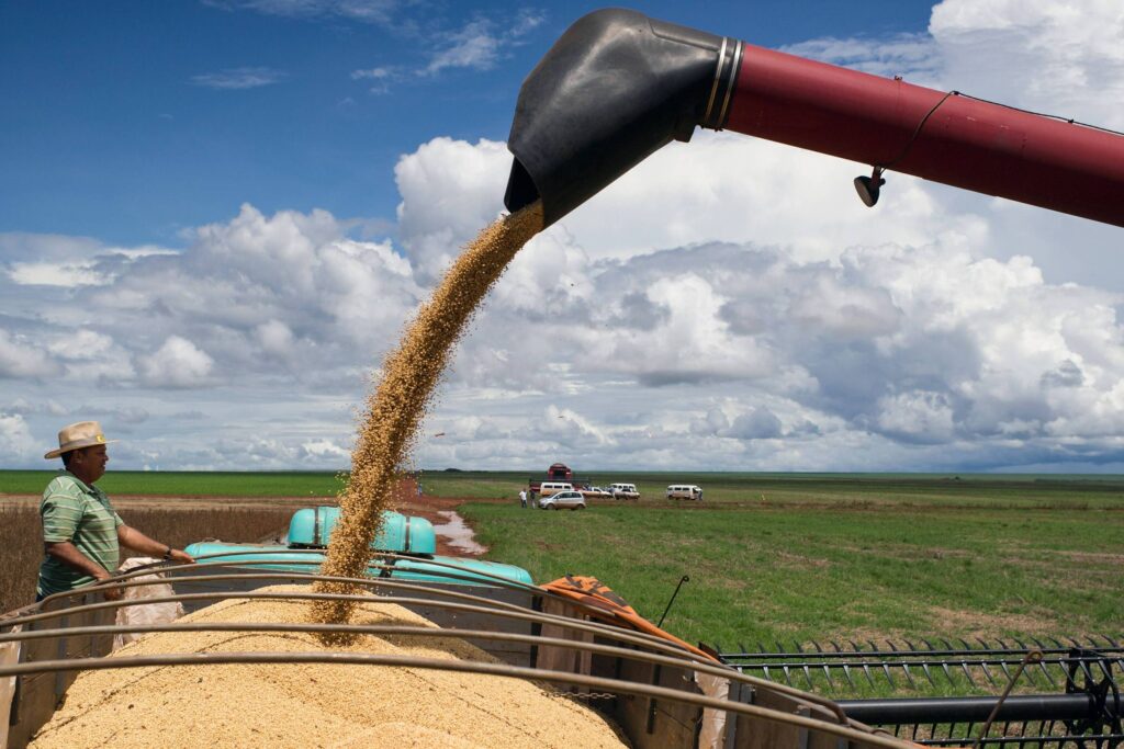 PIB do 1º trimestre do agronegócio avança 0,7% - 29/05/2026 - Economia