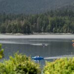 Moeda alternativa vira arma climática na Alemanha - 05/06/2026 - Economia